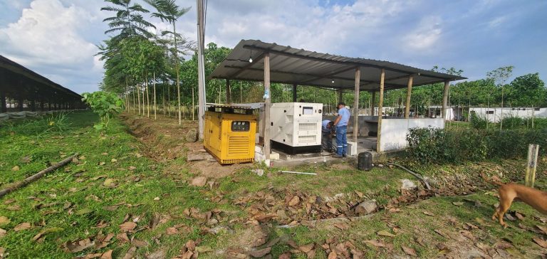 Generadores eléctricos de respaldo en la granja Dorado de Agronorc