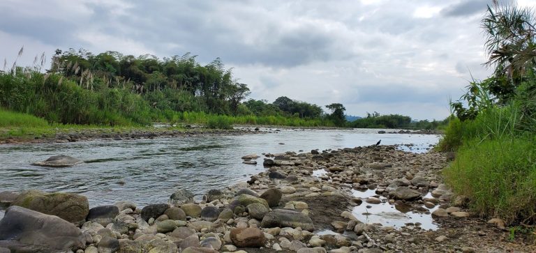 Río junto al proyecto de cacao de la granja Dorado de Agronorc