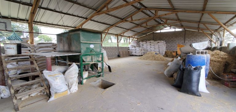Bodega de alimento balanceado en la granja Otón de Vélez, Yaruquí